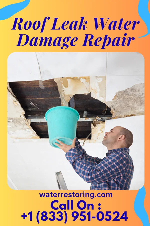 Roof Leak Water Damage Repair in Broussard, LA